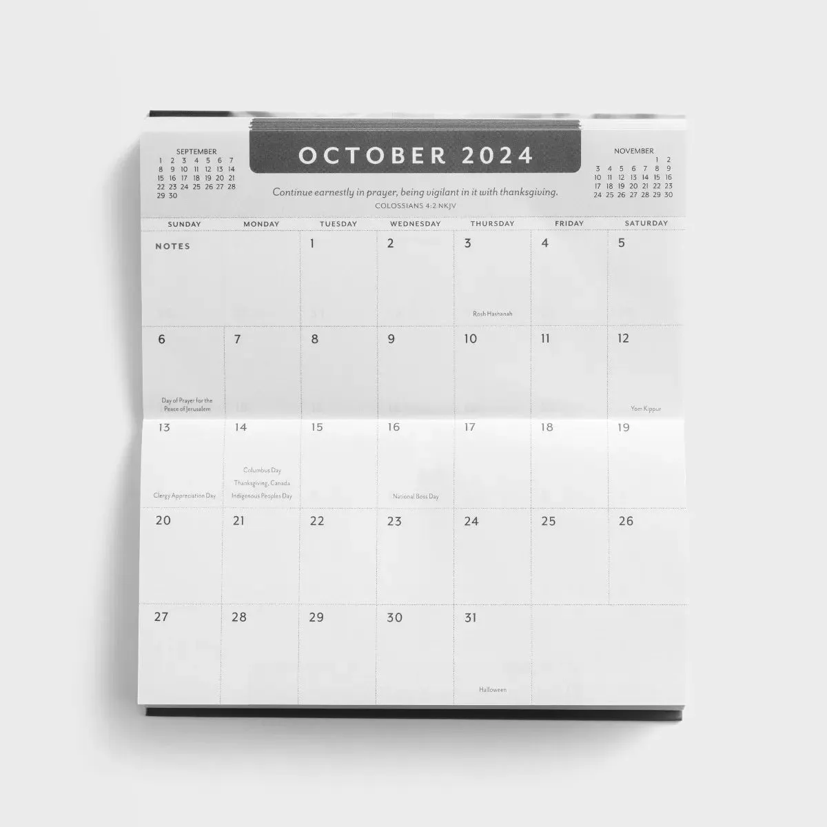 2024-2025 28-Month Planner Kittens U0270