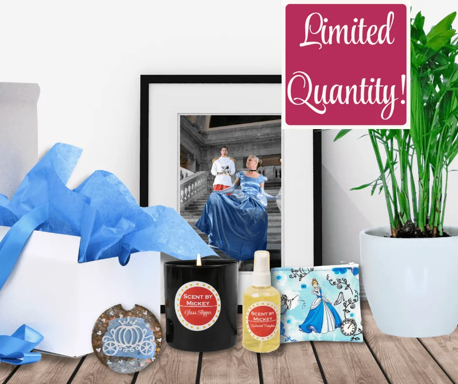 Overstock Scent By Mickey gifts
